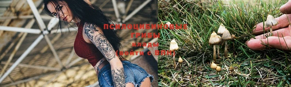 мяу мяу кристалл Верея