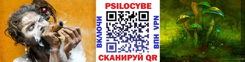 МЕГА как войти  Екатеринбург  Псилоцибиновые грибы GOLDEN TEACHER 